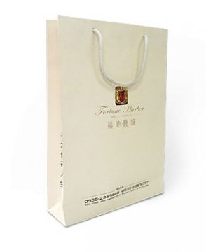 手提袋系列-樓盤(pán)-地產(chǎn)項(xiàng)目